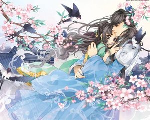 豆奶视频ios官网